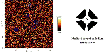 Graphical abstract: Hydrophilic cyclodextrin protected Pd nanoclusters: insights into their size control and host–guest behavior