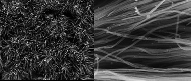 Graphical abstract: Synthesis of polymer nanograss and nanotubes by surface-initiated photopolymerization in cylindrical alumina nanopores