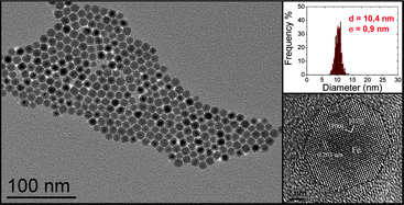 Graphical abstract: Use of long chain amine as a reducing agent for the synthesis of high quality monodisperse iron(0) nanoparticles