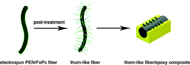 Graphical abstract: Design of thorn-like micro/nanofibers: fabrication and controlled morphology for engineered composite materials applications