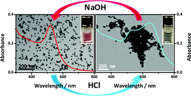 Graphical abstract: Reversible assembly of metal nanoparticles induced by penicillamine. Dynamic formation of SERS hot spots