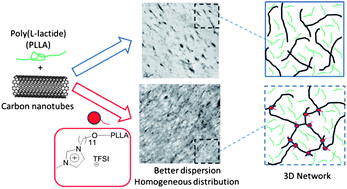 Graphical abstract: Supramolecular design of high-performance poly(l-lactide)/carbon nanotube nanocomposites: from melt-processing to rheological, morphological and electrical properties