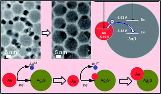 Graphical abstract: Coalescence of Ag2S and Au nanocrystals at room temperature