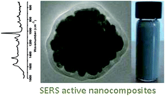 Graphical abstract: Polymer based silver nanocomposites as versatile solid film and aqueous emulsion SERS substrates