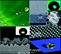 Graphical abstract: A review on self-cleaning coatings