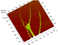 Graphical abstract: One-step synthesis of Fe3O4@C nanotubes for the immobilization of adriamycin