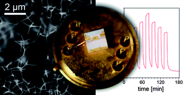 Graphical abstract: Aldehyde detection by ZnO tetrapod-based gas sensors