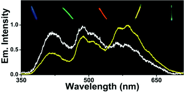 Graphical abstract: Multi-colour emission from dye doped polymeric nanotubes by host–guest energy transfer