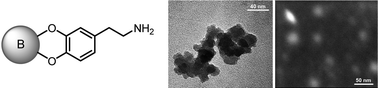 Graphical abstract: Preparation of dopamine-modified boron nanoparticles