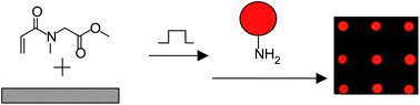 Graphical abstract: Direct write tethered protein arrays