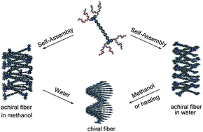 Graphical abstract: Induction of supramolecular chirality in self-assembled nanofibers triggered by environmental change