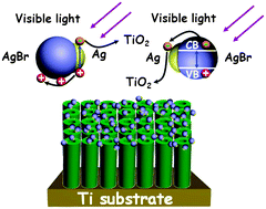 Graphical abstract: TiO2 nanotube/Ag–AgBr three-component nanojunction for efficient photoconversion