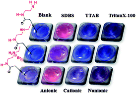 Graphical abstract: Polydiacetylenes carrying amino groups for colorimetric detection and identification of anionic surfactants