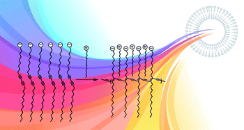 Graphical abstract: Diverse colorimetric changes of polydiacetylenes with cationic surfactants and their mechanistic studies