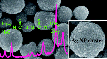 Graphical abstract: Single clusters of self-assembled silver nanoparticles for surface-enhanced Raman scattering sensing of a dithiocarbamate fungicide