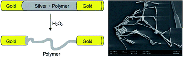 Graphical abstract: Synthesis and characterization of flexible, composite, nanorod nunchucks