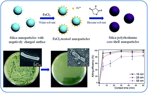 Graphical abstract: Fabrication of silica/polyrhodanine core/shell nanoparticles and their antibacterial properties
