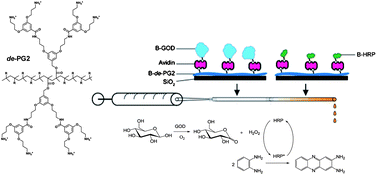 Graphical abstract: Simple enzyme immobilization inside glass tubes for enzymatic cascade reactions