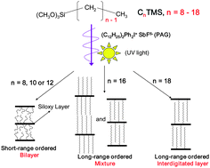 Graphical abstract: Photoinduced synthesis and ordering of lamellar n-alkylsiloxane films