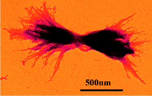Graphical abstract: Barium titanate nanoparticle self-organization in an external electric field