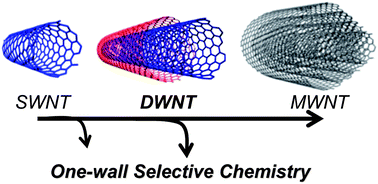 Graphical abstract: Outerwall selective alkylcarboxylation and enrichment of double-walled carbon nanotubes