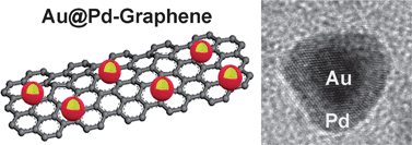 Graphical abstract: Graphene supported Au-Pd bimetallic nanoparticles with core-shell structures and superior peroxidase-like activities