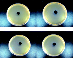 Graphical abstract: Antibacterial and anticoagulation properties of carboxylated graphene oxide–lanthanum complexes