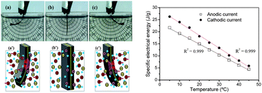 Graphical abstract: Biomimetic polypyrrole based all three-in-one triple layer sensing actuators exchanging cations