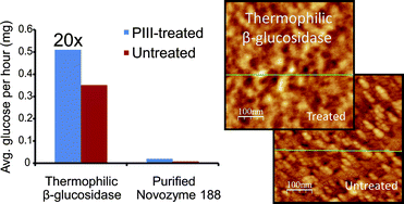 Graphical abstract: Linker-free covalent thermophilic β-glucosidase functionalized polymeric surfaces