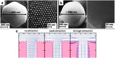 Graphical abstract: Guest–host van der Waals interactions decisively affect the molecular transport in mesoporous media