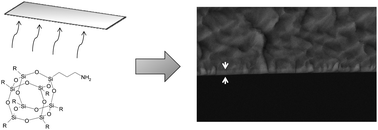 Graphical abstract: POSS vapor phase grafting: a novel method to modify polymer films