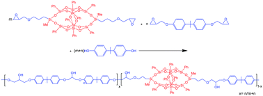 Graphical abstract: Organic-inorganic poly(hydroxyether of bisphenol A) copolymers with double-decker silsesquioxane in the main chains