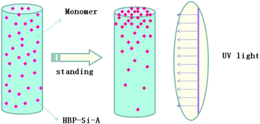 Graphical abstract: Control of concentration gradient and initiating gradient photopolymerization of polysiloxane benzophenone photoinitiator