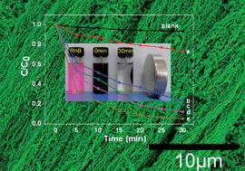 Graphical abstract: Magnetic-field induced formation of 1D Fe3O4/C/CdS coaxial nanochains as highly efficient and reusable photocatalysts for water treatment