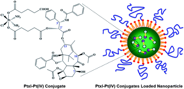 Graphical abstract: Nanoparticle drug delivery enhances the cytotoxicity of hydrophobic–hydrophilic drug conjugates