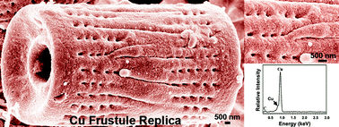 Graphical abstract: Syntheses of nanostructured Cu- and Ni-based micro-assemblies with selectable 3-D hierarchical biogenic morphologies