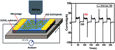 Graphical abstract: Self-powered, visible-light photodetector based on thermally reduced graphene oxide–ZnO (rGO–ZnO) hybrid nanostructure