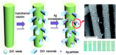 Graphical abstract: “Tube brush” like ZnO/SiO2 hybrid to construct a flexible membrane with enhanced photocatalytic properties and recycling ability
