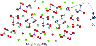 Graphical abstract: Incorporation of iodates into hydroxyapatites: a new approach for the confinement of radioactive iodine