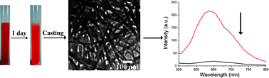 Graphical abstract: Fast detection of organic amine vapors based on fluorescent nanofibrils fabricated from triphenylamine functionalized β-diketone-boron difluoride