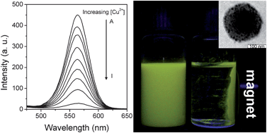 Graphical abstract: Fabrication of CdTe nanoparticles-based superparticles for an improved detection of Cu2+ and Ag+