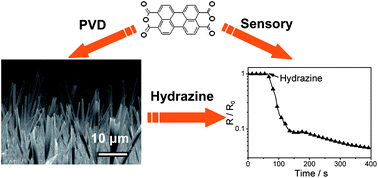 Graphical abstract: Gas phase-based growth of highly sensitive single-crystal rectangular micro- and nanotubes