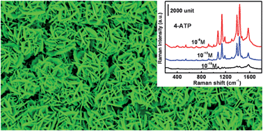 Graphical abstract: Standing Ag nanoplate-built hollow microsphere arrays: Controllable structural parameters and strong SERS performances