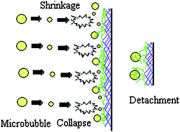 Graphical abstract: Biofilm detachment by self-collapsing air microbubbles: a potential chemical-free cleaning technology for membrane biofouling