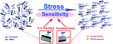 Graphical abstract: Promoting the responsive ability of carbon nanotubes to an external stress field in a polypropylene matrix: A synergistic effect of the physical interaction and chemical linking