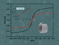 Graphical abstract: Sodium vanadium oxide Na2V6O16·3H2O nanobelts and nanorings: A new room-temperature ferromagnetic semiconductor