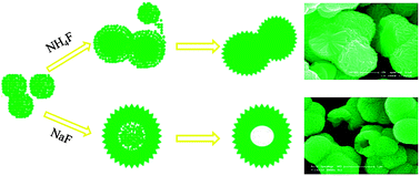 Graphical abstract: Hydrothermal synthesis of hierarchical SnO2 microspheres for gas sensing and lithium-ion batteries applications: Fluoride-mediated formation of solid and hollow structures