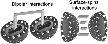 Graphical abstract: Superparamagnetism and interparticle interactions in ZnFe2O4 nanocrystals