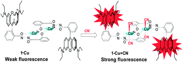 Graphical abstract: A Cu(ii)-based chemosensing ensemble bearing rhodamine B fluorophore for fluorescence turn-on detection of cyanide