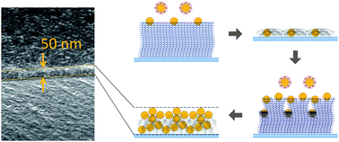 Graphical abstract: In-stacking: a strategy for 3D nanoparticle assembly in densely-grafted polymer brushes